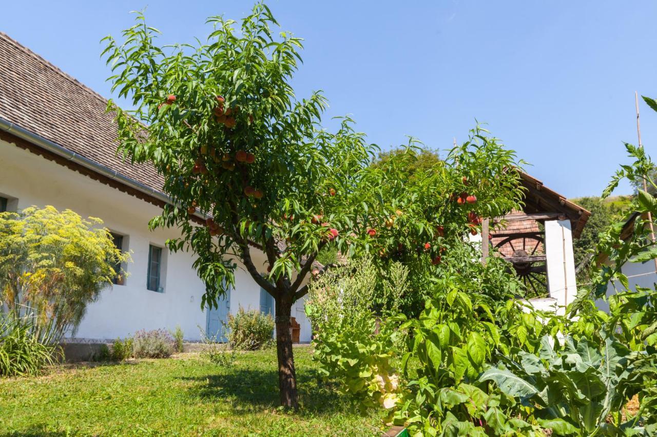 Szalkai Valyoghaz Vendeghaz Apartment Exterior photo